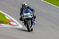 Lower Group Blue Bikes